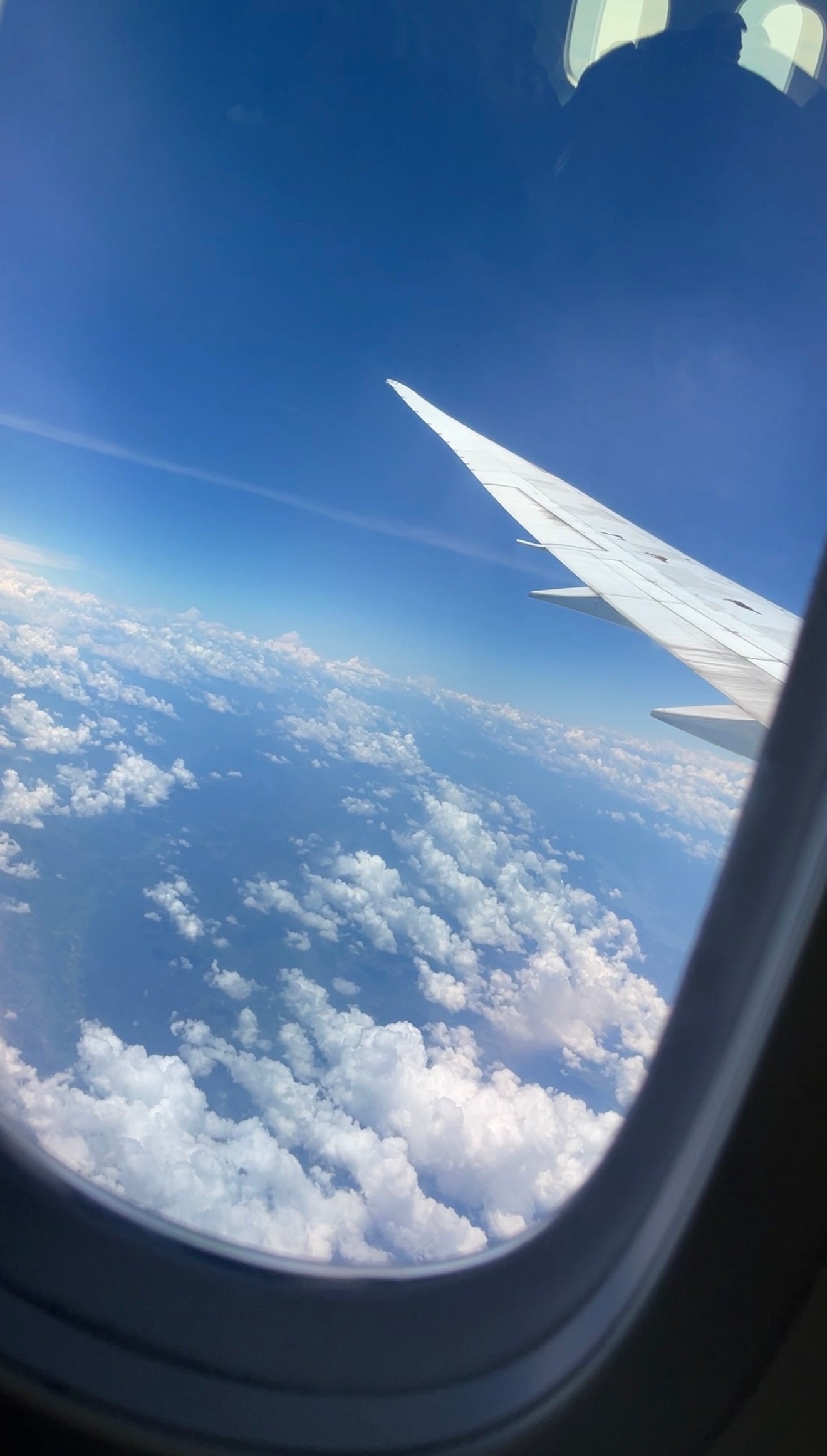 Fly with me to Vietnam: My Journey to Vietnam: Sourcing the Best Hair Vendors